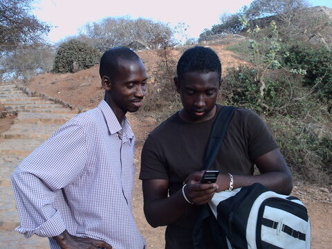 Deux jeunes hommes, l'un consultant un téléphone portable